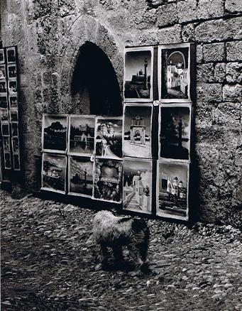 Vol.19　ギリシャ　ロドス島